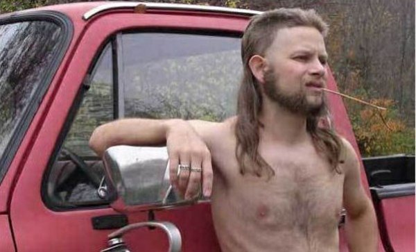 Almost Politically Correct Redneck