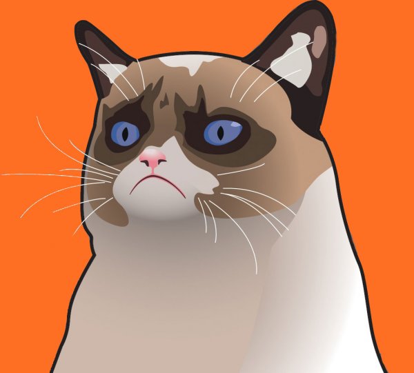 Cartoon Grumpy Cat