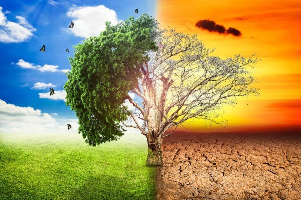 Climate Change Meme