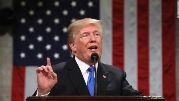 Donald Trump Portrait