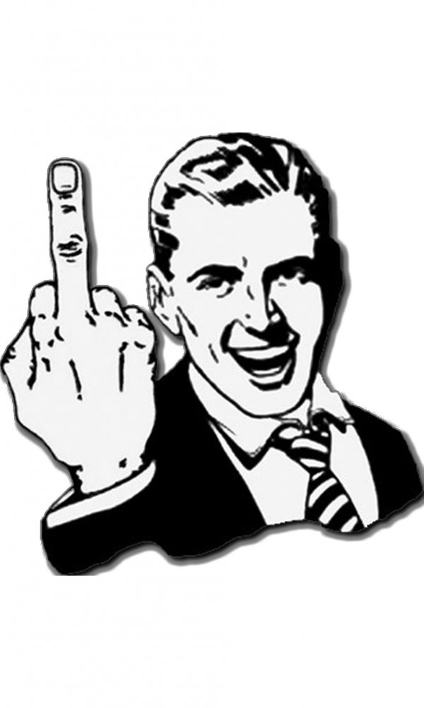 Middle Finger Cat