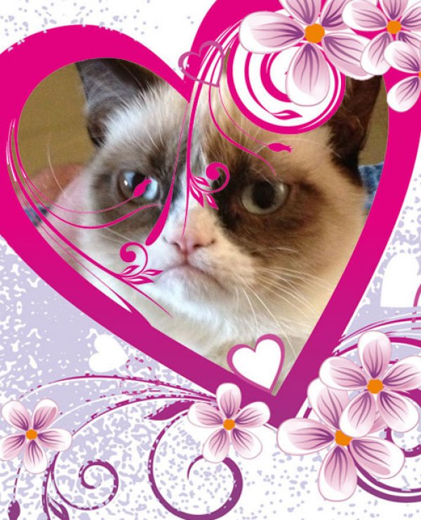 Grumpy Cat Valentine
