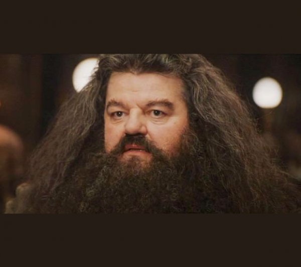 Hagrid Should Not Have Said That