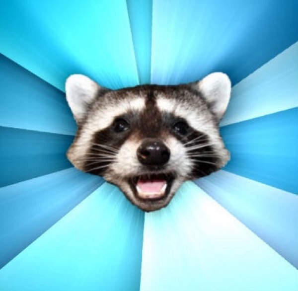 Lame Pun Coon