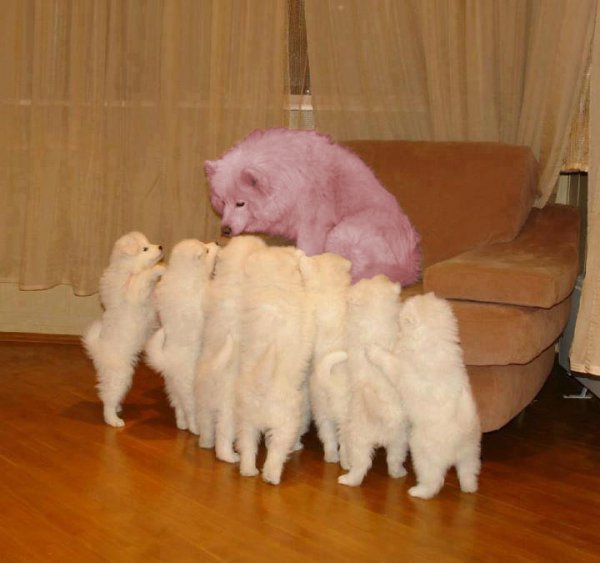 Malicious Storytelling Dog