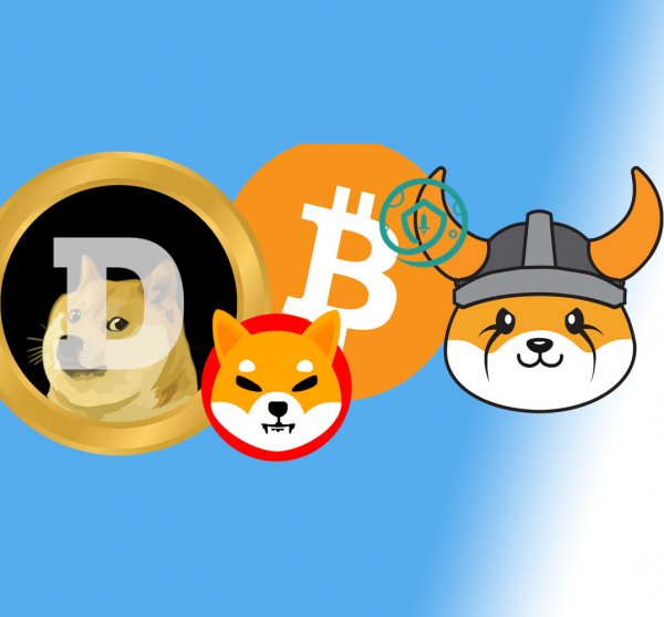 Meme Coin Cryptocurrency