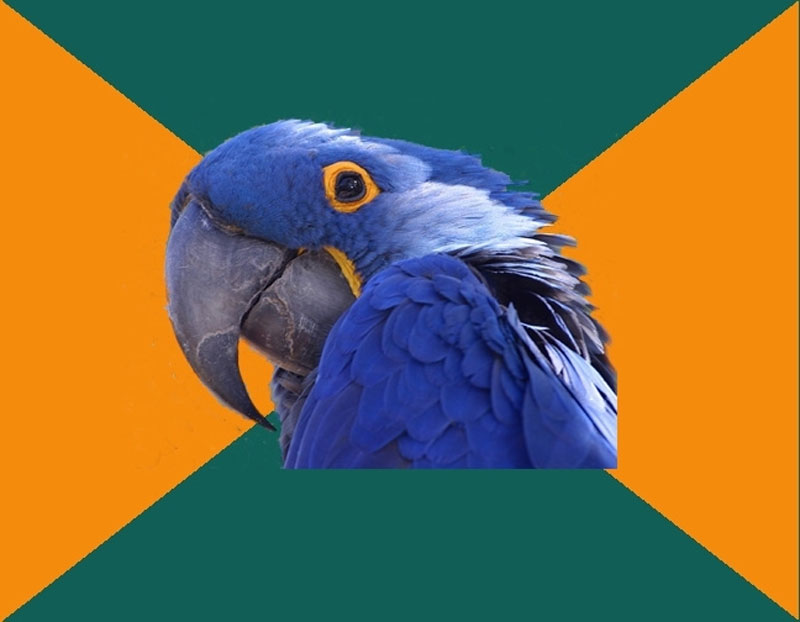 Paranoid Parrot