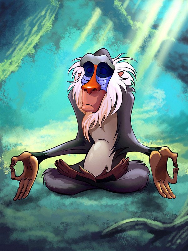 Rafiki Meditating