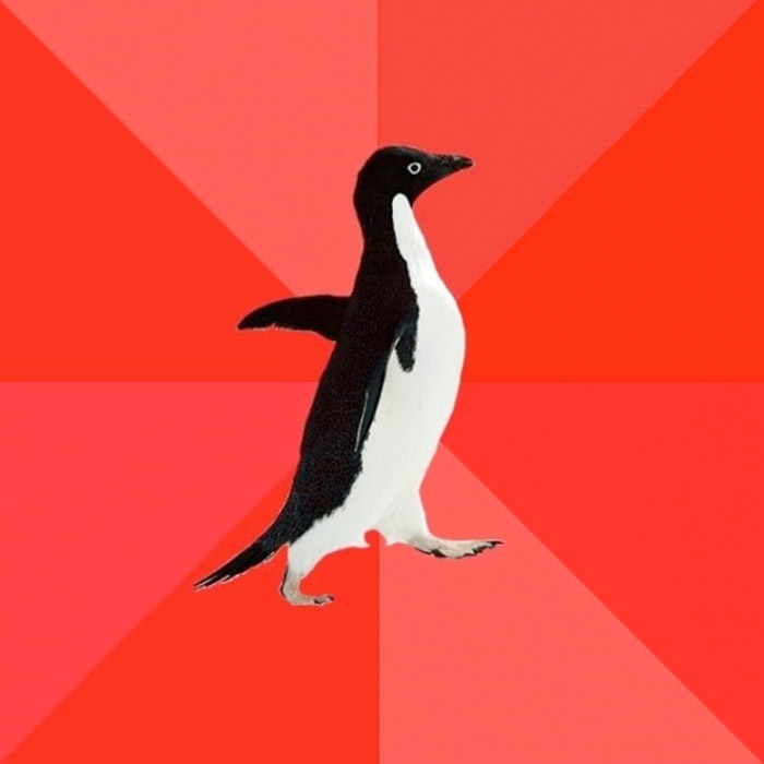 Socially Awesome Penguin