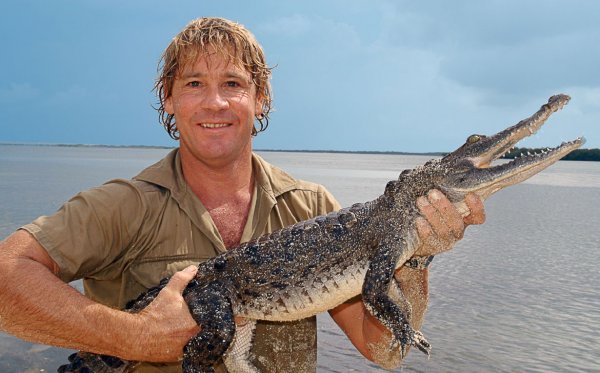 Steve Irwin