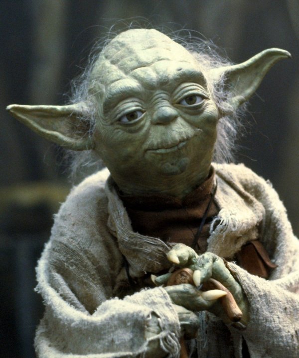 Wise Yoda